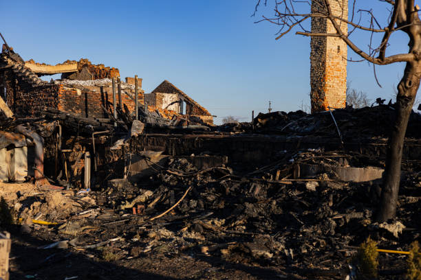 Reliable Content Restoration contractor in Dassel, MN by Fire Damage Flint
